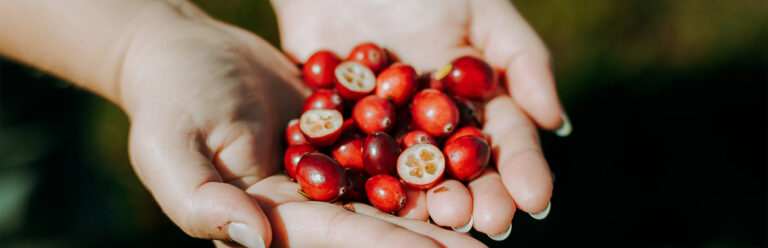 cranberry-antioxidants-health-benefits