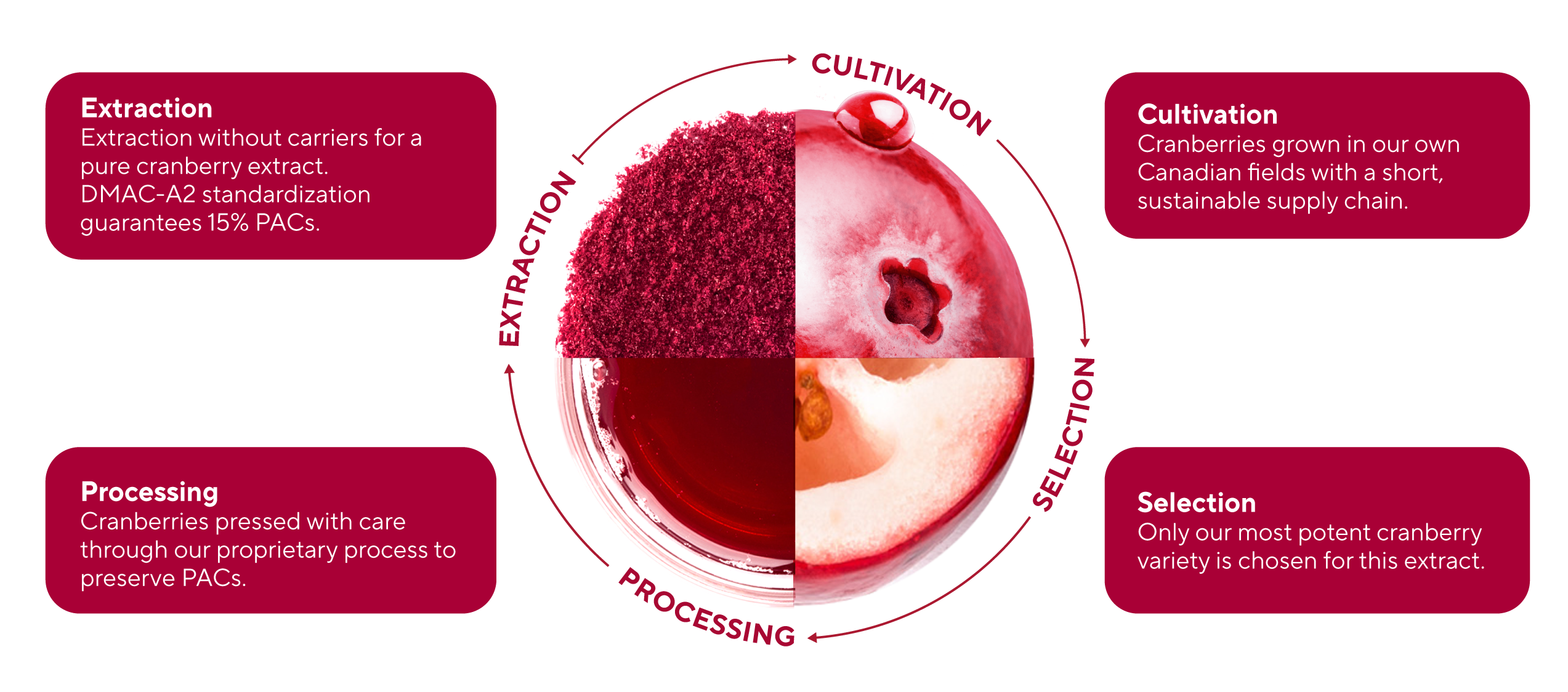 Fruit d'Or - Cran d'Or Pristine XV, supply chain control
