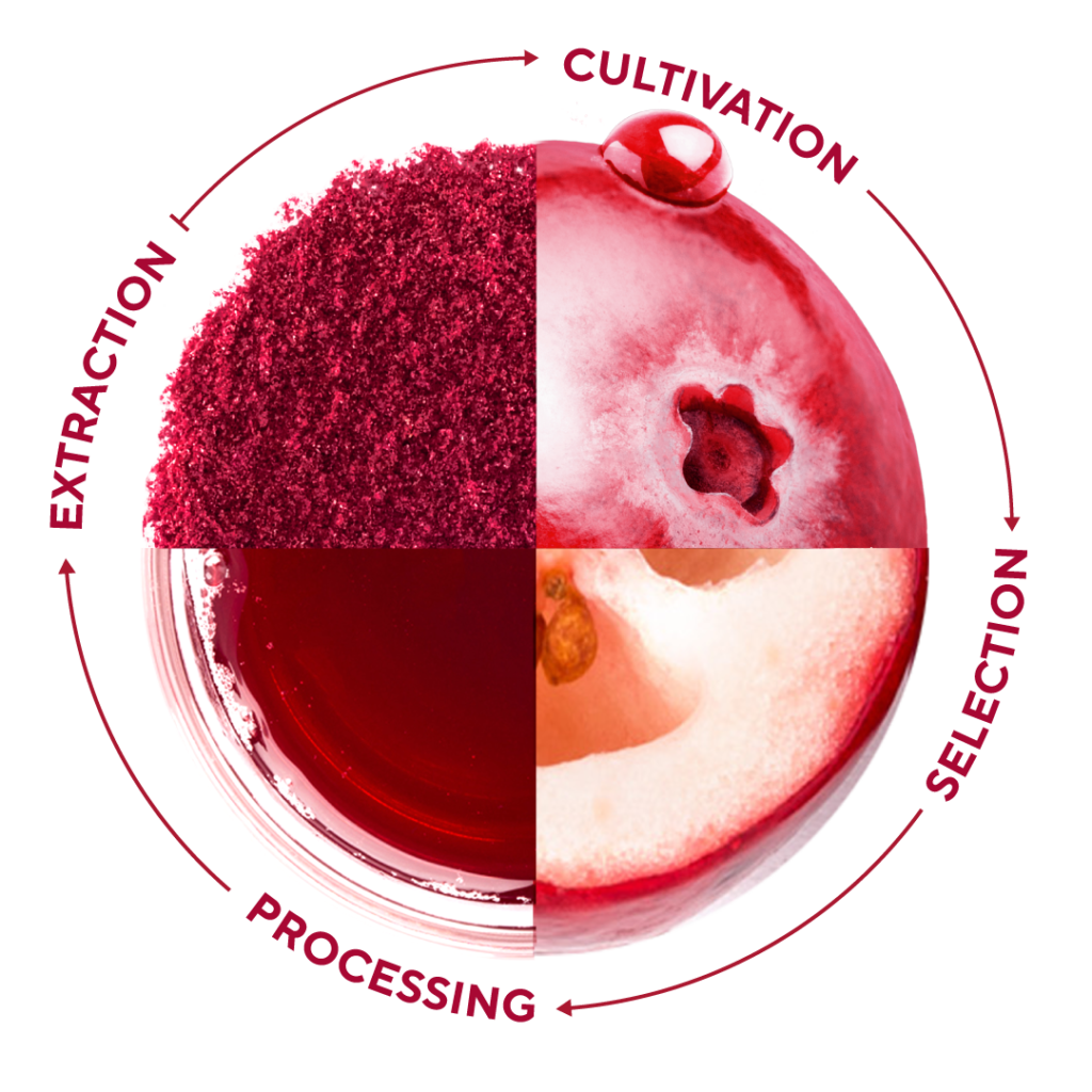 Fruit d'Or - Cran d'Or Pristine XV, supply chain control