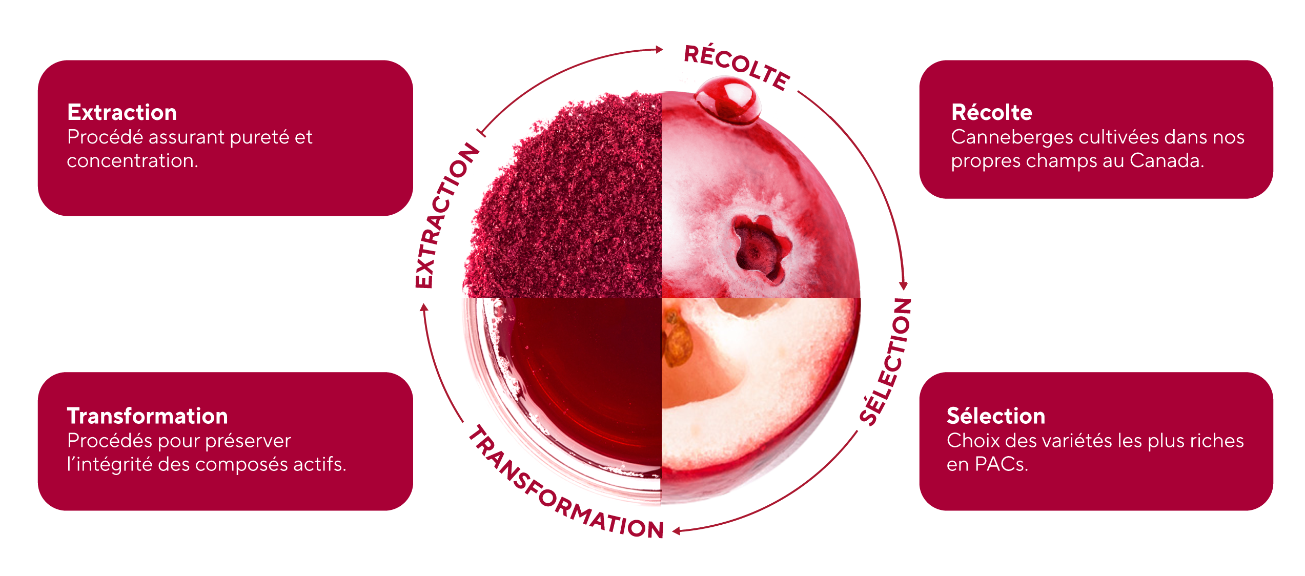 Fruit d'Or. Crand d'Or Pristine -Une intégration verticale complète.